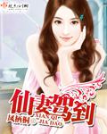 仙妻駕到