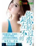 你是我，左轉不過的彎