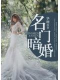 名門暗婚