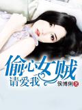 偷心女賊請愛我