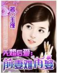 先婚後愛：前妻難再娶