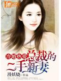 冷婚熱愛：總裁的二手新妻