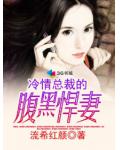 冷情總裁的腹黑悍妻