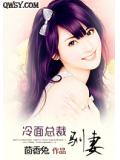 冷麵總裁馴妻