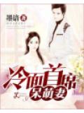 冷麵首席呆萌妻