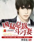 凶猛總裁鬥刁妻