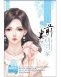 前夫少爺別惹我