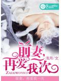 前妻,再愛我一次