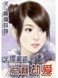 半緣邂逅:總裁劫愛