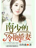 南少的冷豔嬌妻