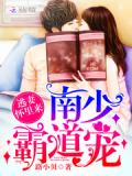 南少霸道寵:逃妻,懷裡來!