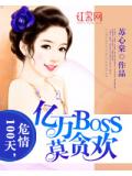 危情100天，億萬BOSS莫貪歡