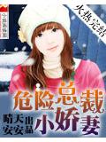 危險總裁小嬌妻