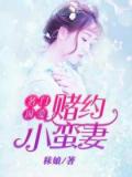 名門囚愛:賭約小蠻妻