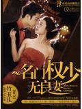 名門權少無良妻
