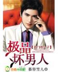 名門貴公子：極品壞男人