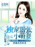 名門隱婚：獨寵囂張小萌妻