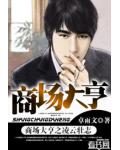 商場大亨之凌雲壯志