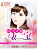 國民男神一妻二寶