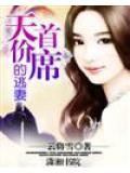 天價首席的逃妻