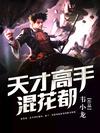 天才高手混花都