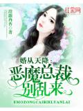 婚從天降：惡魔總裁別亂來