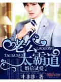 婚後試愛:老公太霸道