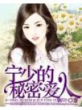 寧少的祕密愛人