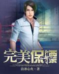 完美保鏢