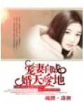 寵妻自成：婚天愛地