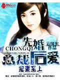 寵妻至上:總裁先婚後愛