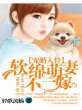 寵婚入骨:軟綿萌妻不二嫁