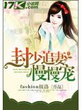 封少追妻慢慢寵
