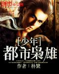 少年都市梟雄