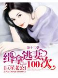 巨星老公:緝拿逃妻100次