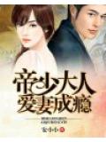 帝少大人愛妻成癮