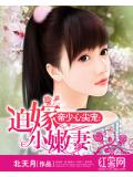 帝少心尖寵：迫嫁小嫩妻