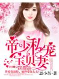 帝少私寵寶貝妻