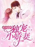 帝少追緝:獨寵小嬌妻