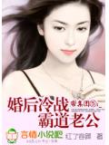 帝集團:婚後冷戰霸道老公