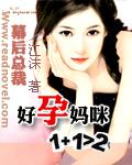 幕後總裁:好孕媽咪1+1