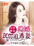 幸孕婚寵：隱婚boss追逃妻