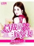 強勢奪愛：總裁的三嫁嬌妻