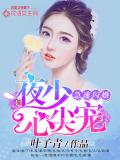 急速閃婚：夜少心尖寵