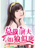 總裁前夫,如狼似虎