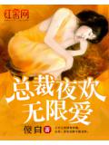 總裁夜歡無限愛
