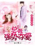 總裁強勢奪愛:毒舌少奶奶