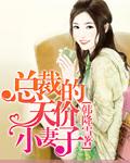 總裁的天價小妻子作者:韓降雪