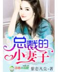 總裁的小妻子