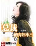 總裁的棄婦小三